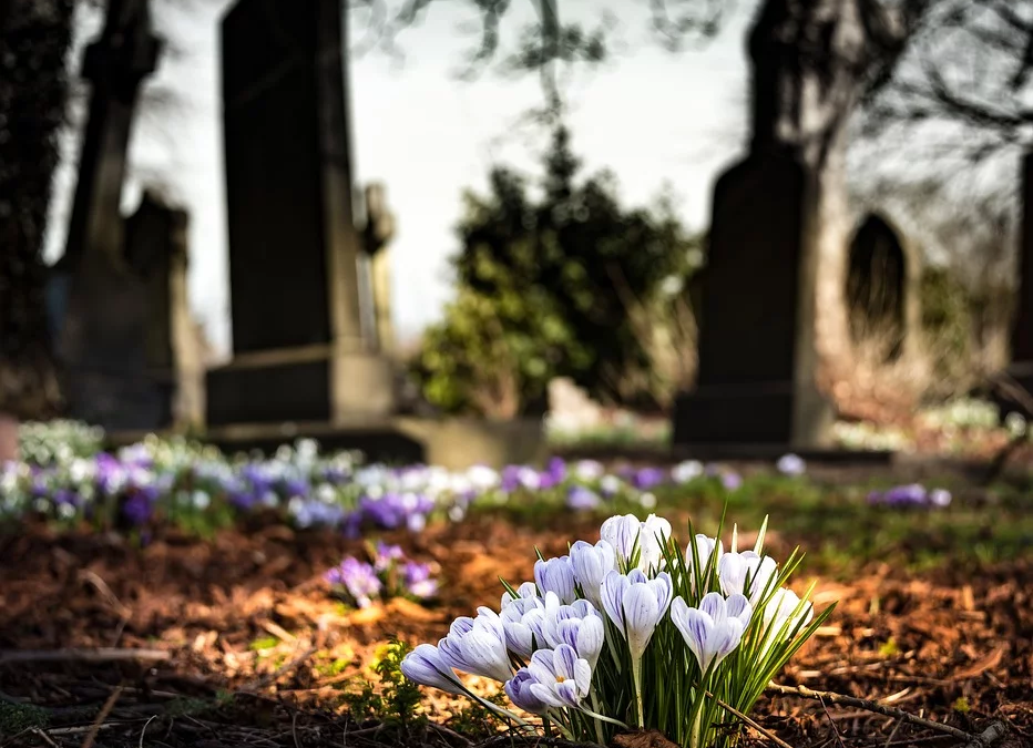 Phrase of the Week: Dying to Meet You